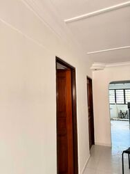 Blk 264 Waterloo Street (Central Area), HDB 3 Rooms #542393801
